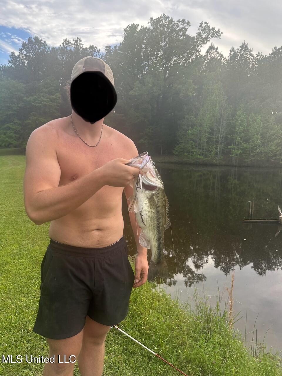 571 Doloroso-rosetta Road Woodville, MS 39669 - Photo 42 of 47 IMG_6987 Large