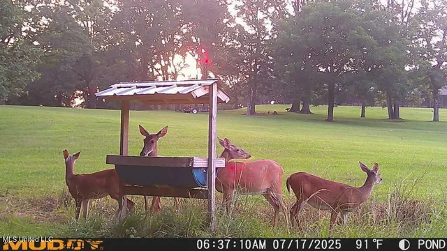 $2,100,000 | 571 Doloroso-rosetta Road, Woodville, MS 39669