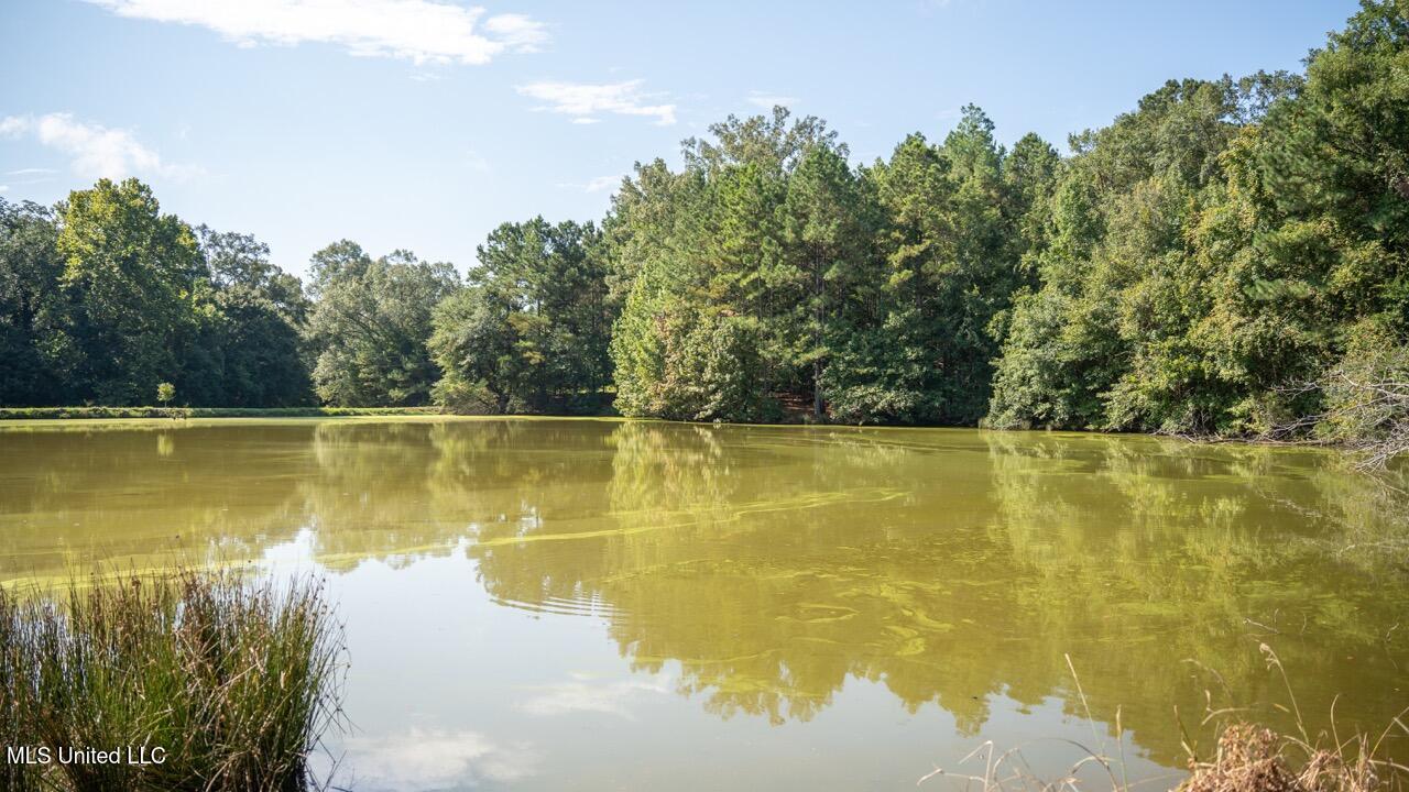 571 Doloroso-rosetta Road Woodville, MS 39669 - Photo 45 of 47 ZTS03169 Large