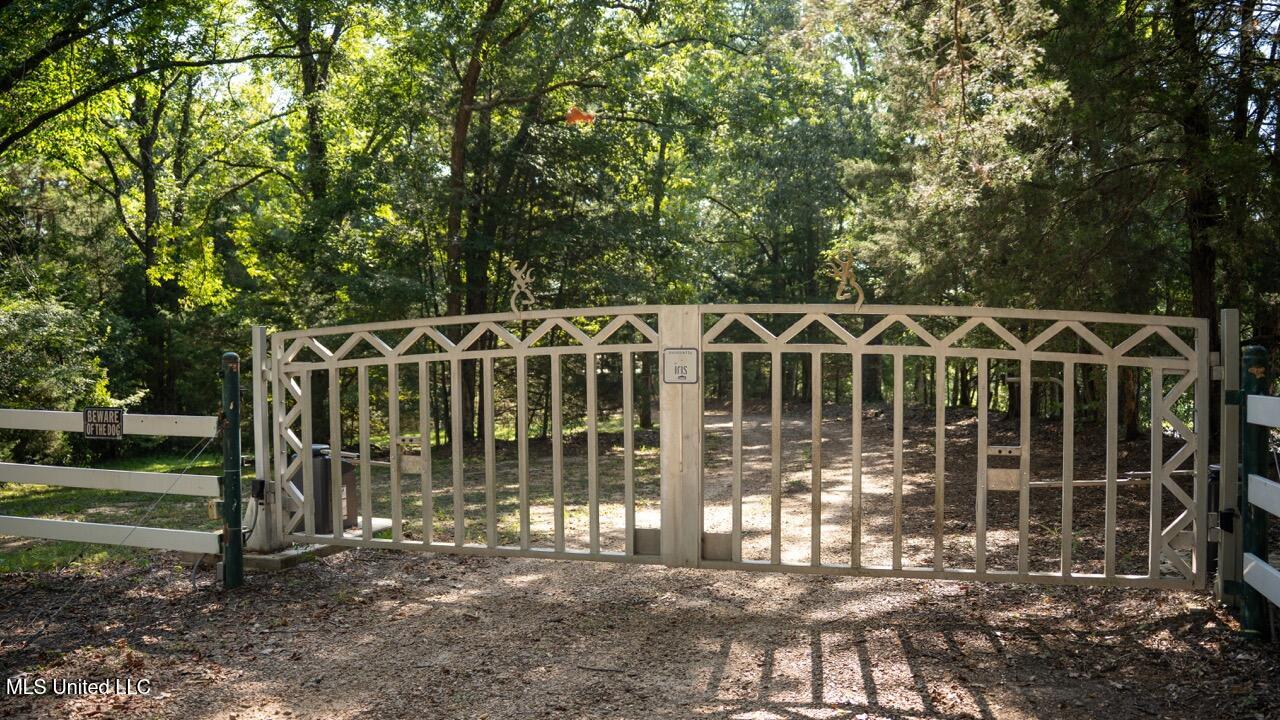 571 Doloroso-rosetta Road Woodville, MS 39669 - Photo 46 of 47 ZTS03187 Large