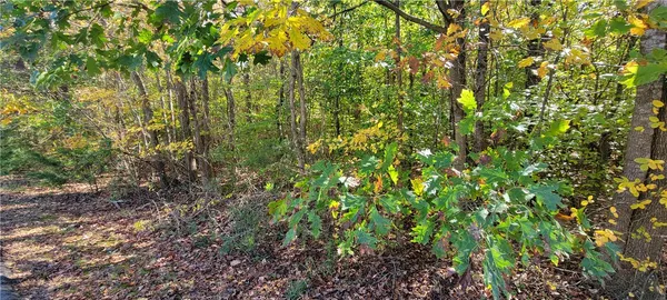 $11,500 | 0 South Hogan Drive, Westminster, SC 29693