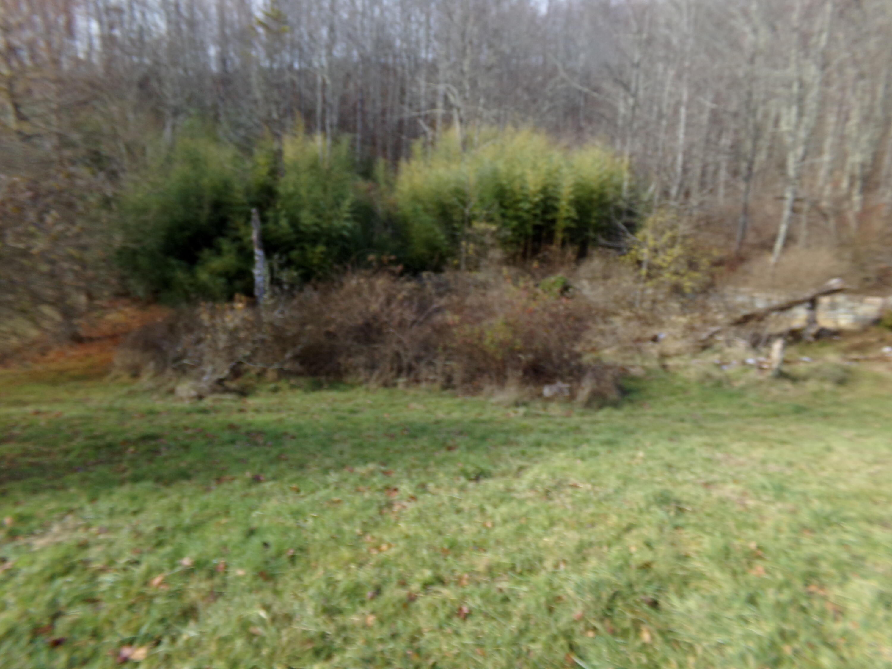 200 Odd School Road Odd, WV 25902 - Photo 35 of 36 Gallery Image 35