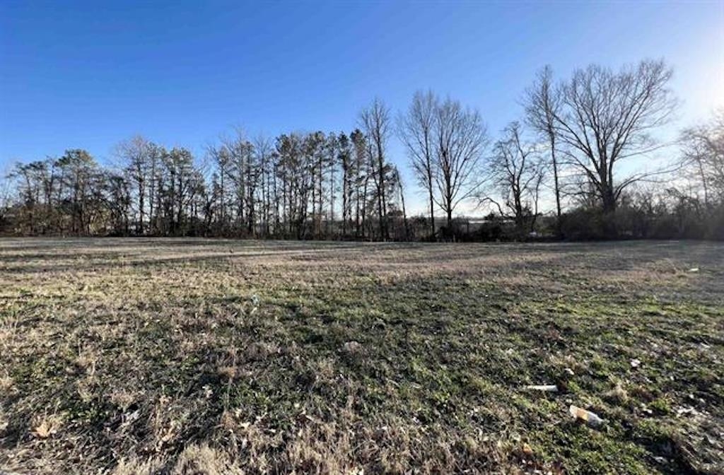 52 York Commons Street Ripley, TN 38063 - Photo 2 of 3 a view of a field with trees in the background