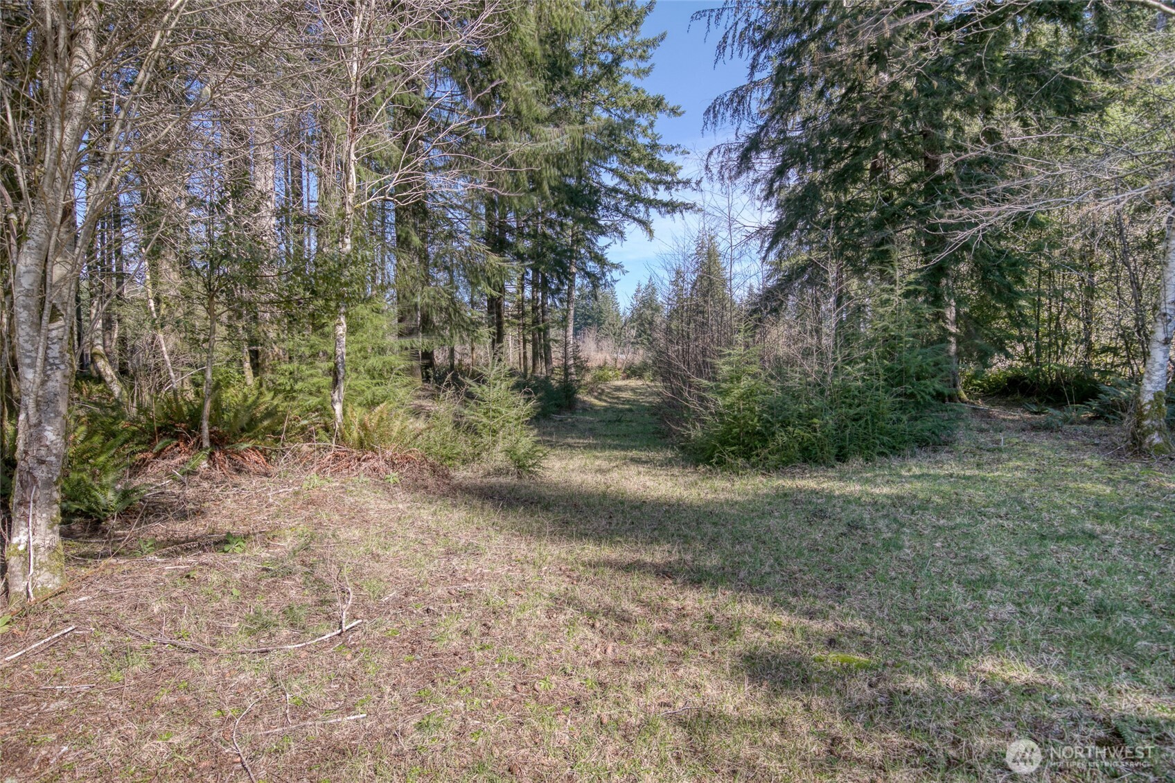 2 Groseclose Lane Humptulips, WA 98552 - Photo 16 of 35