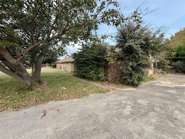 a view of a yard with plants and trees
