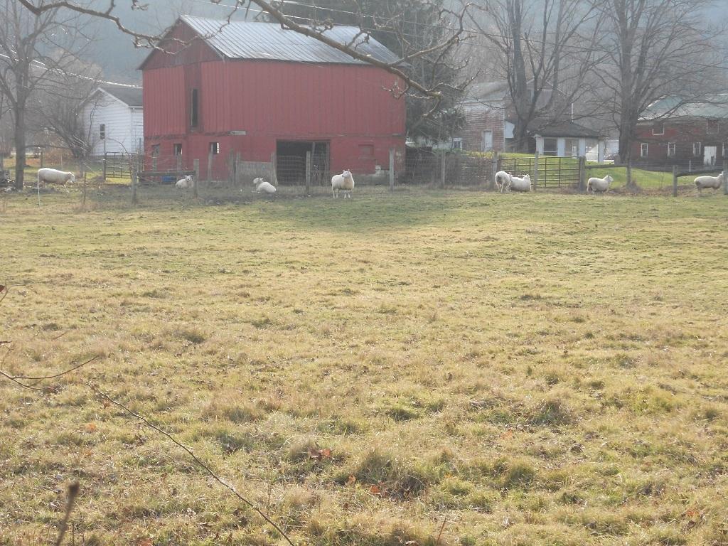 664 Spencer Road Candor, NY 13743 - Photo 36 of 36 Gallery Image 36