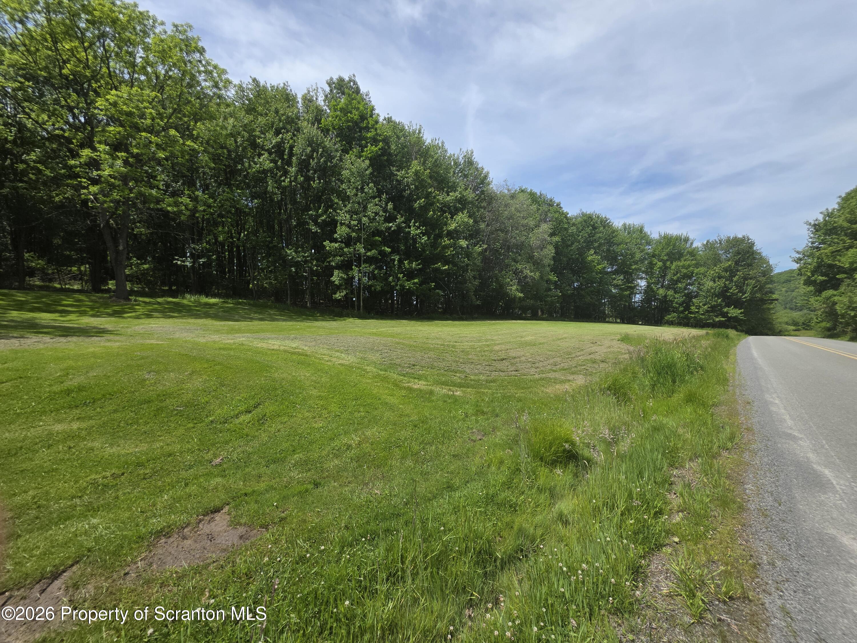 1333 Blue Berry Road Falls, PA 18615 - Photo 44 of 50 Roadside yard