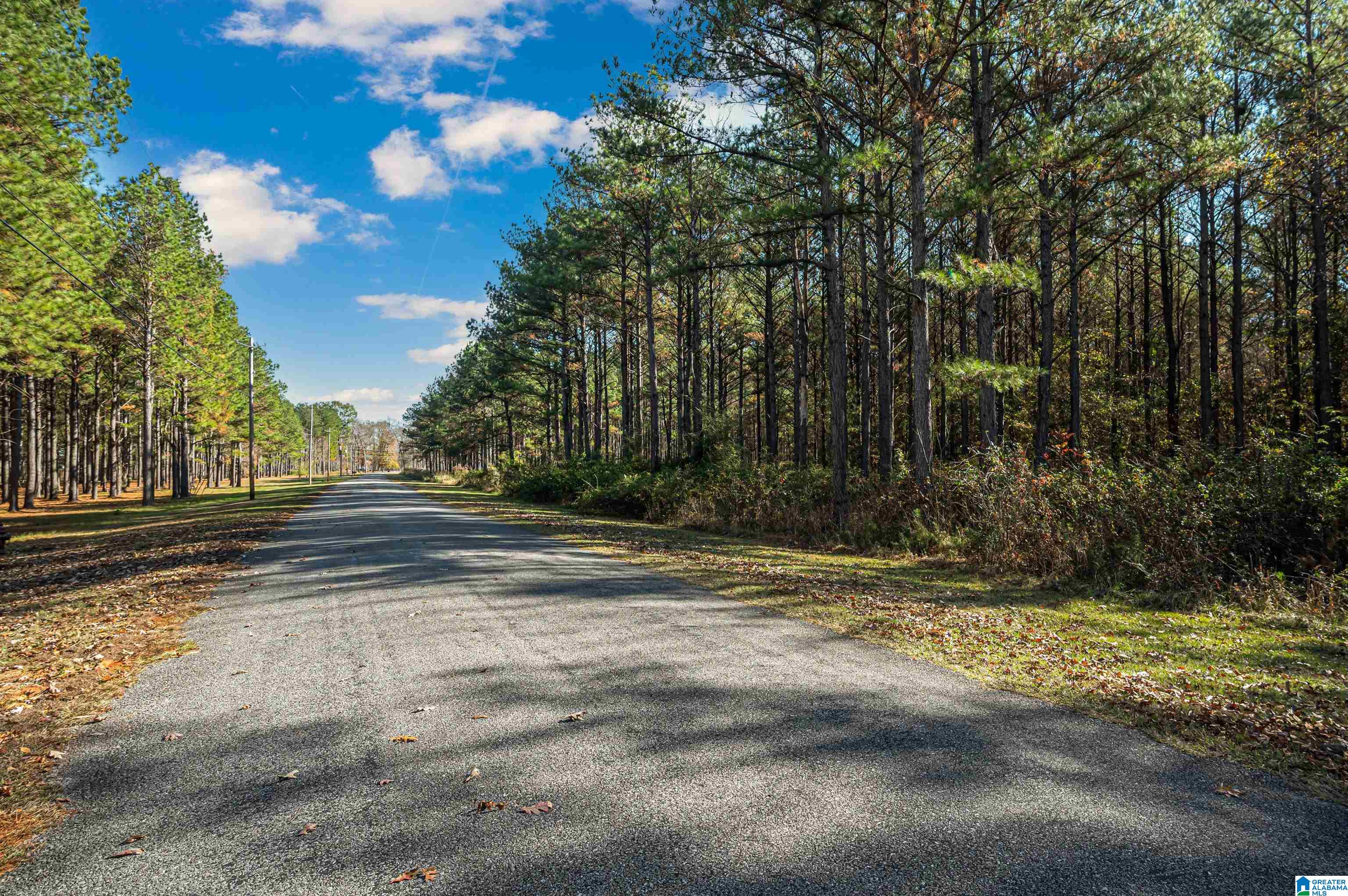 152 Cypress Point Drive, Unit 2 Akron, AL 35441 - Photo 4 of 29