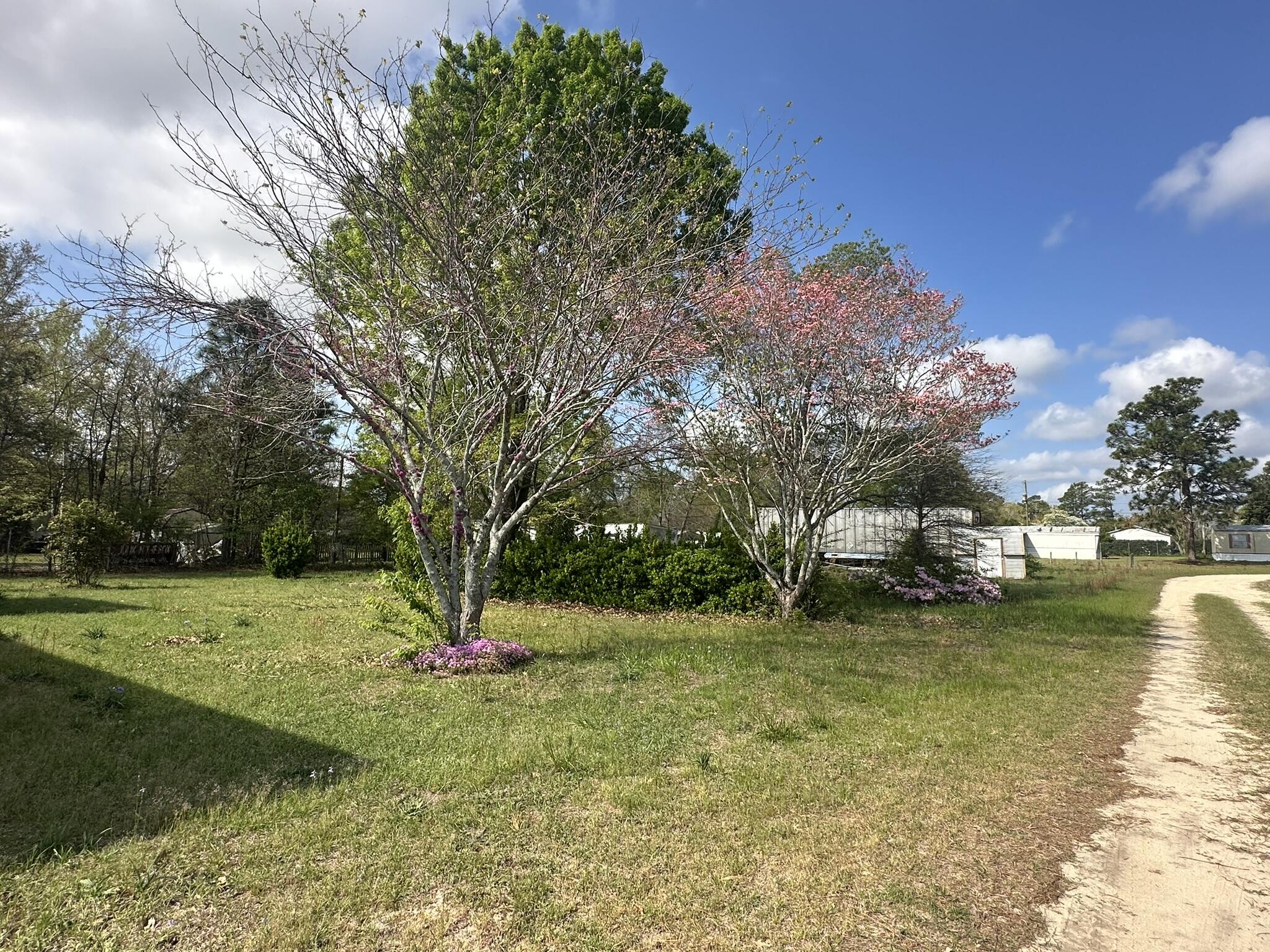 2444 Tobacco Road Hephzibah, GA 30815 - Photo 4 of 27 Front