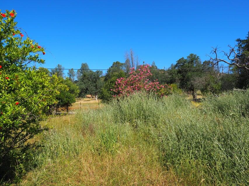 20103 Parocast Road Redding, CA 96003 - Photo 10 of 24 20260519214834391221000000-o