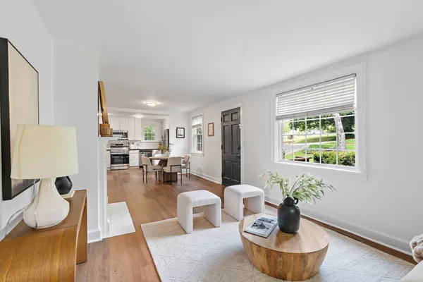 a living room with furniture and a potted plant