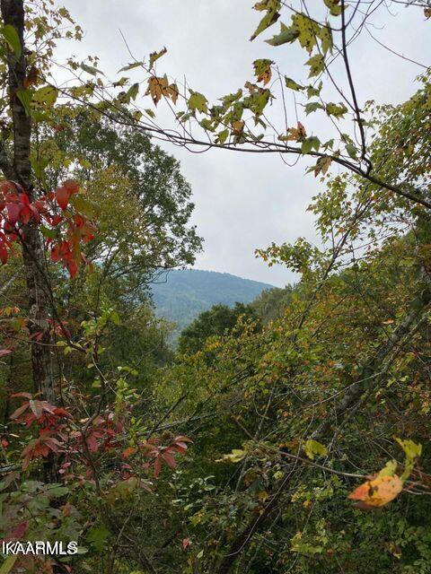 731 Frost Bottom Road Oliver Springs, TN 37840 - Photo 8 of 10 20211025002857809180000000-o