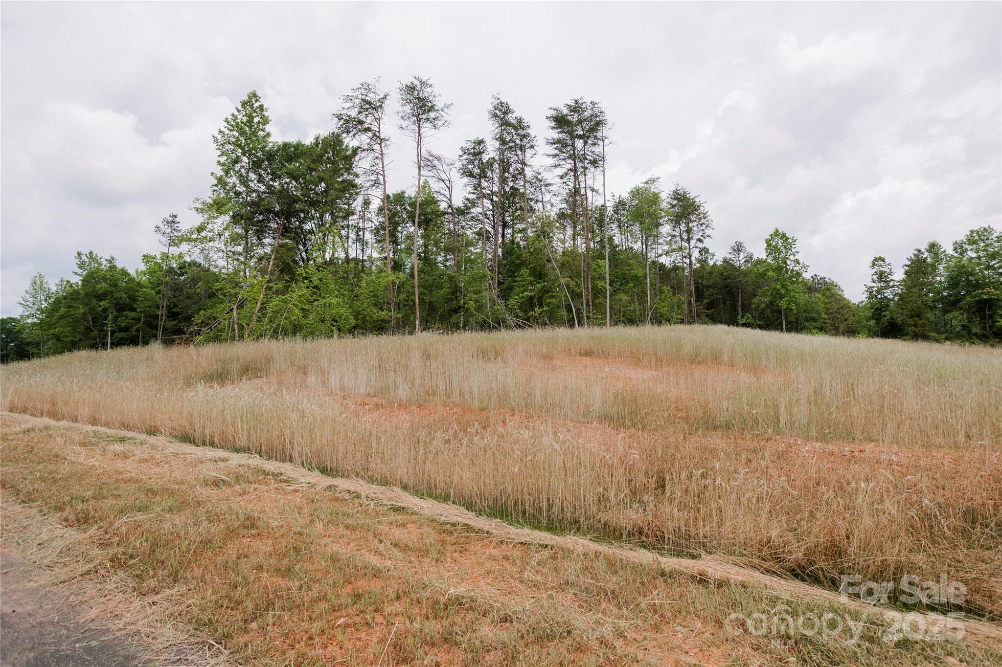 Lot 4 American Bittern Way Clover, SC 29710 - Photo 8 of 20 Gallery Image 8