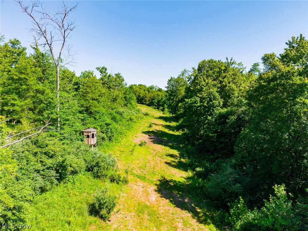 84143 Gilmore Ridge Road Cadiz, OH 43907 - Photo 23 of 32