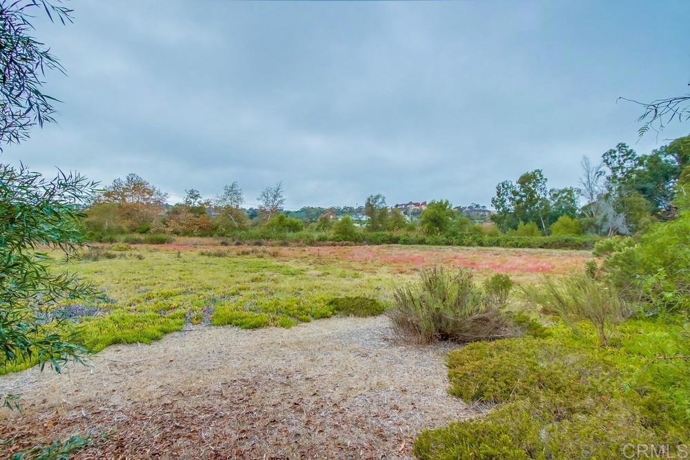 4124 Stonebridge Lane Rancho Santa Fe, CA 92091 - Photo 29 of 31 a view of a lake with houses in the back