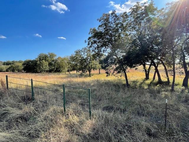 1150 Dps Tower Road, Unit 22 Perrin, TX 76486 - Photo 4 of 13 a view of a yard with an tree