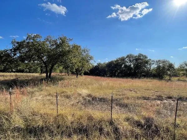a view of a yard with a tree