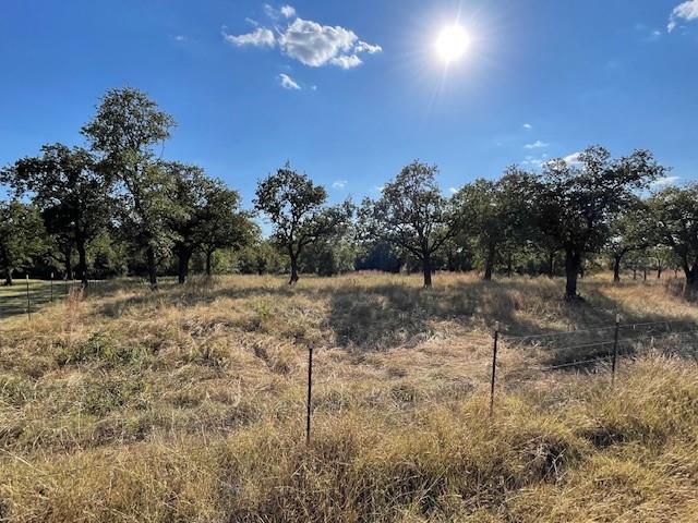 1150 Dps Tower Road, Unit 22 Perrin, TX 76486 - Photo 6 of 13 a view of a yard with a tree