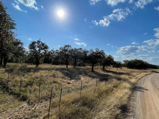 1150 Dps Tower Road, Unit 22 Perrin, TX 76486 - Photo 7 of 13 a view of a yard with lots of green space and mountain view