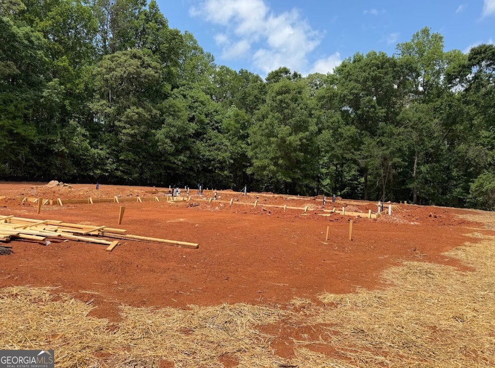 774 Bellamy Road Homer, GA 30547 - Photo 4 of 6