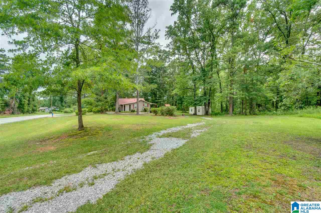 2995 County Road 77 Clanton, AL 35045 - Photo 4 of 50