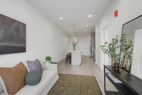 a living room with furniture and a potted plant