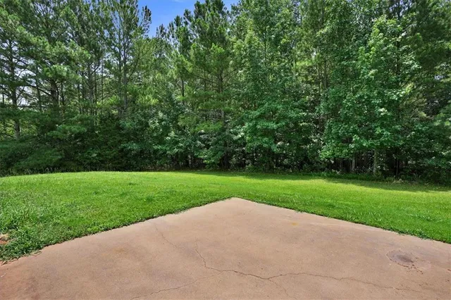 a view of a park and trees