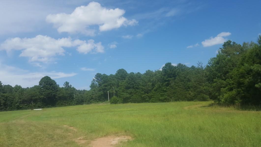 1685 Jaudon Road Elberton, GA 30635 - Photo 54 of 54 20180808_155956