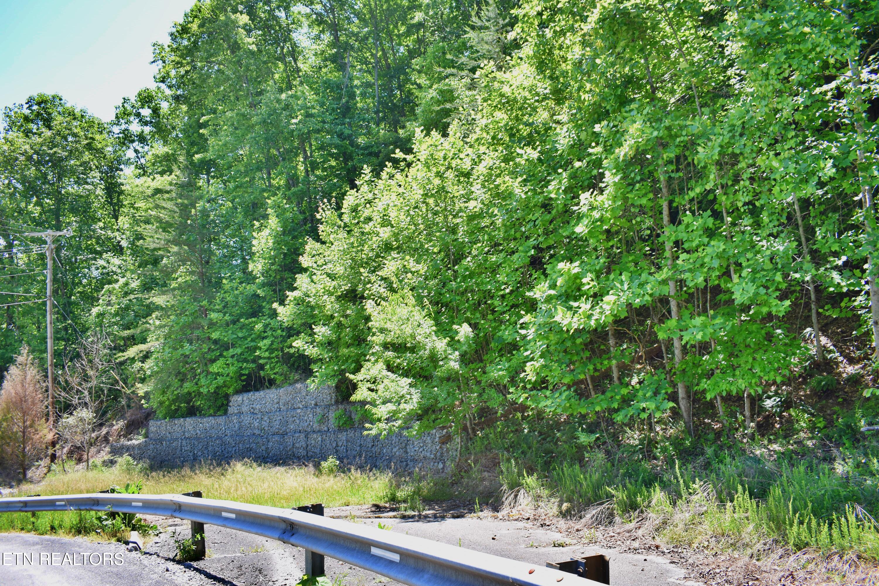 0 Flint Ridge Road Rockwood, TN 37854 - Photo 19 of 37 DSC_0653