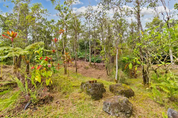 $200,000 | 11-3119 Alii KOA Street, Volcano, HI 96785