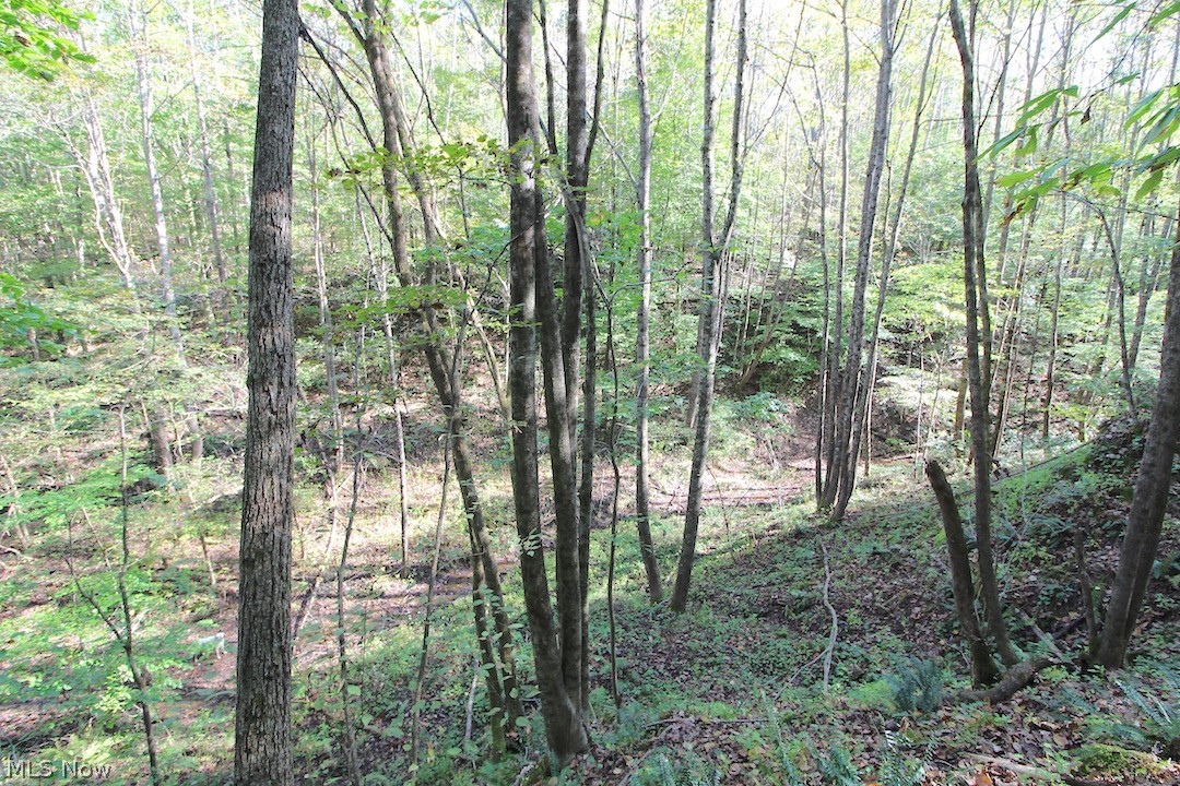 Horseshoe Bend Road Newcomerstown, OH 43832 - Photo 15 of 23 Gallery Image 15