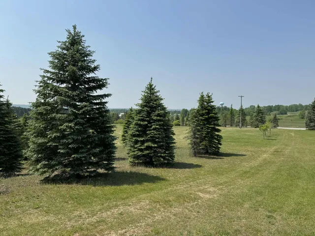 $524,900 | 6294 100th Avenue, Evart, MI 49631