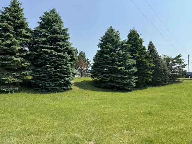 $524,900 | 6294 100th Avenue, Evart, MI 49631