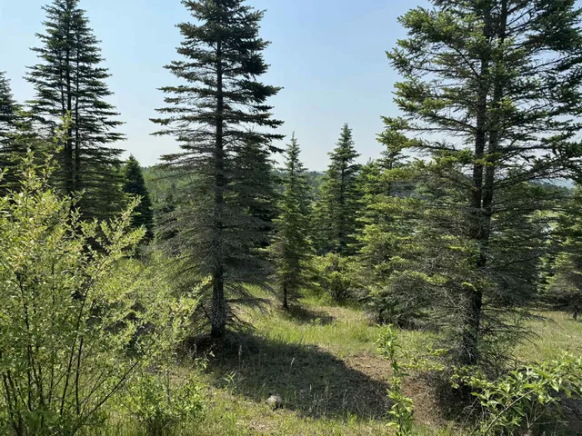 $524,900 | 6294 100th Avenue, Evart, MI 49631