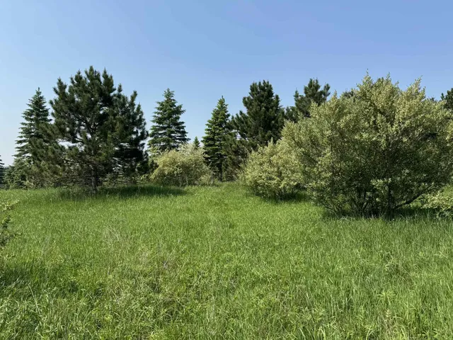 $524,900 | 6294 100th Avenue, Evart, MI 49631