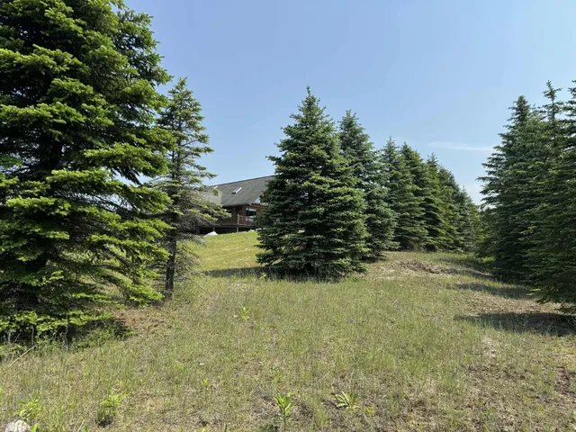 $524,900 | 6294 100th Avenue, Evart, MI 49631