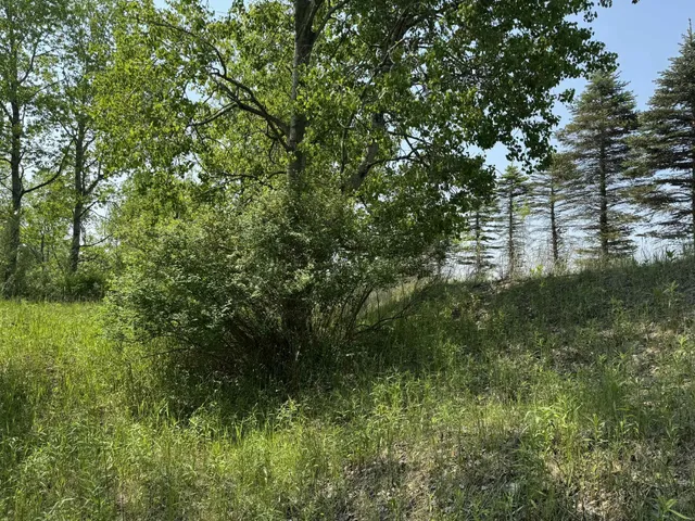 $524,900 | 6294 100th Avenue, Evart, MI 49631