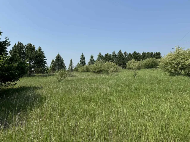 $524,900 | 6294 100th Avenue, Evart, MI 49631