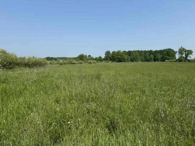 $524,900 | 6294 100th Avenue, Evart, MI 49631