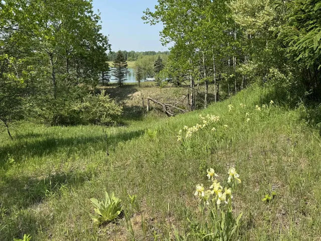 $524,900 | 6294 100th Avenue, Evart, MI 49631