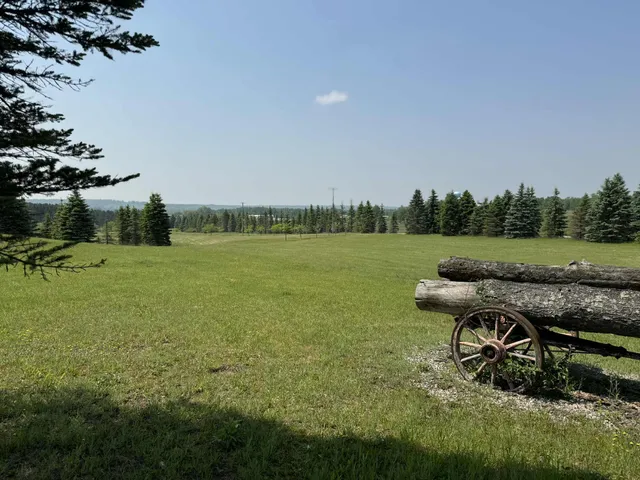 $524,900 | 6294 100th Avenue, Evart, MI 49631