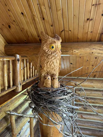 $524,900 | 6294 100th Avenue, Evart, MI 49631