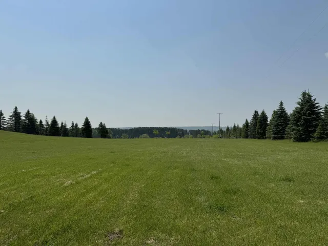 $524,900 | 6294 100th Avenue, Evart, MI 49631