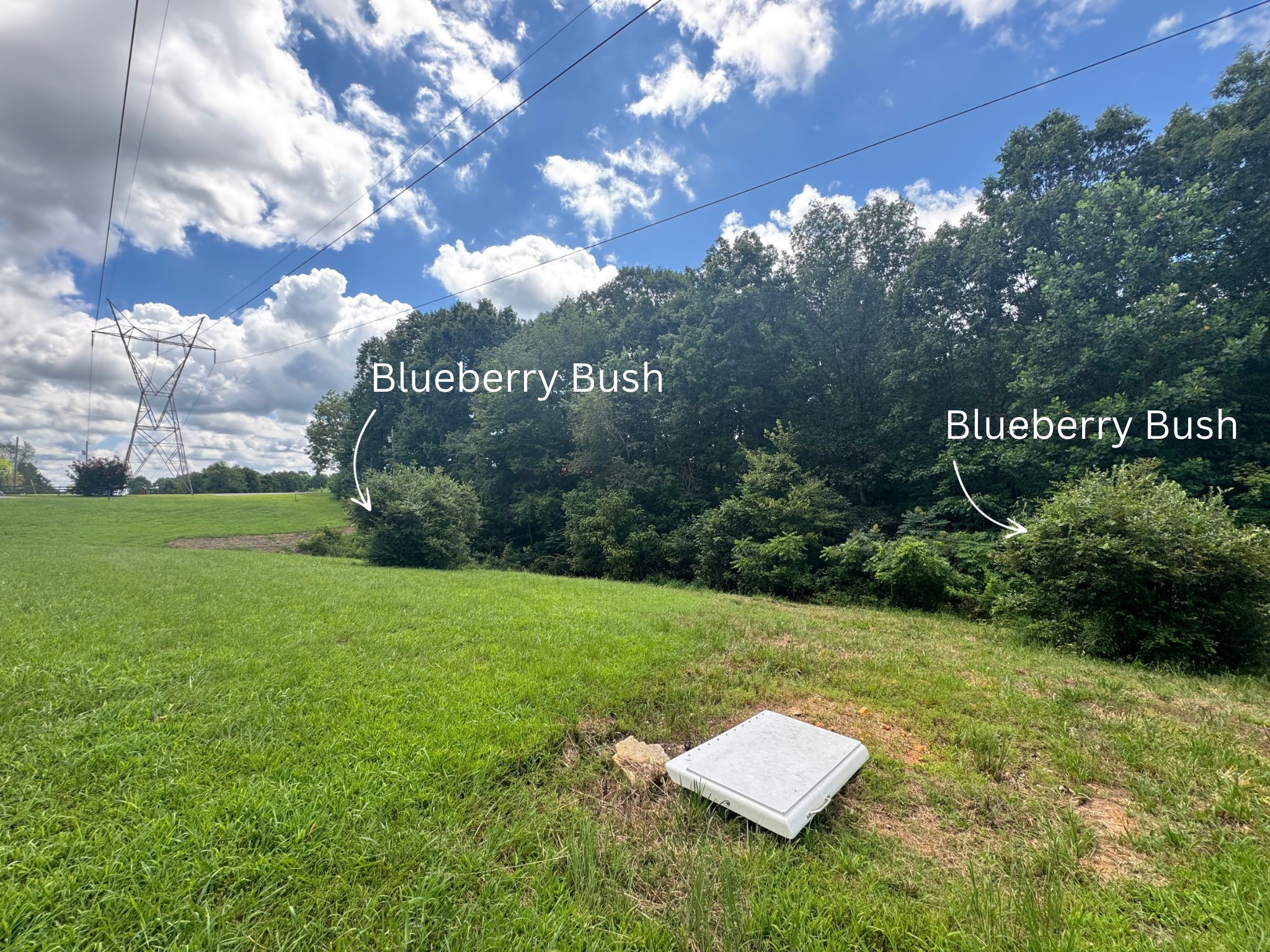 130 McFarlin Road White Bluff, TN 37130 - Photo 27 of 33 a view of a back yard