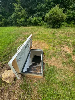 a view of yard with tree and green space