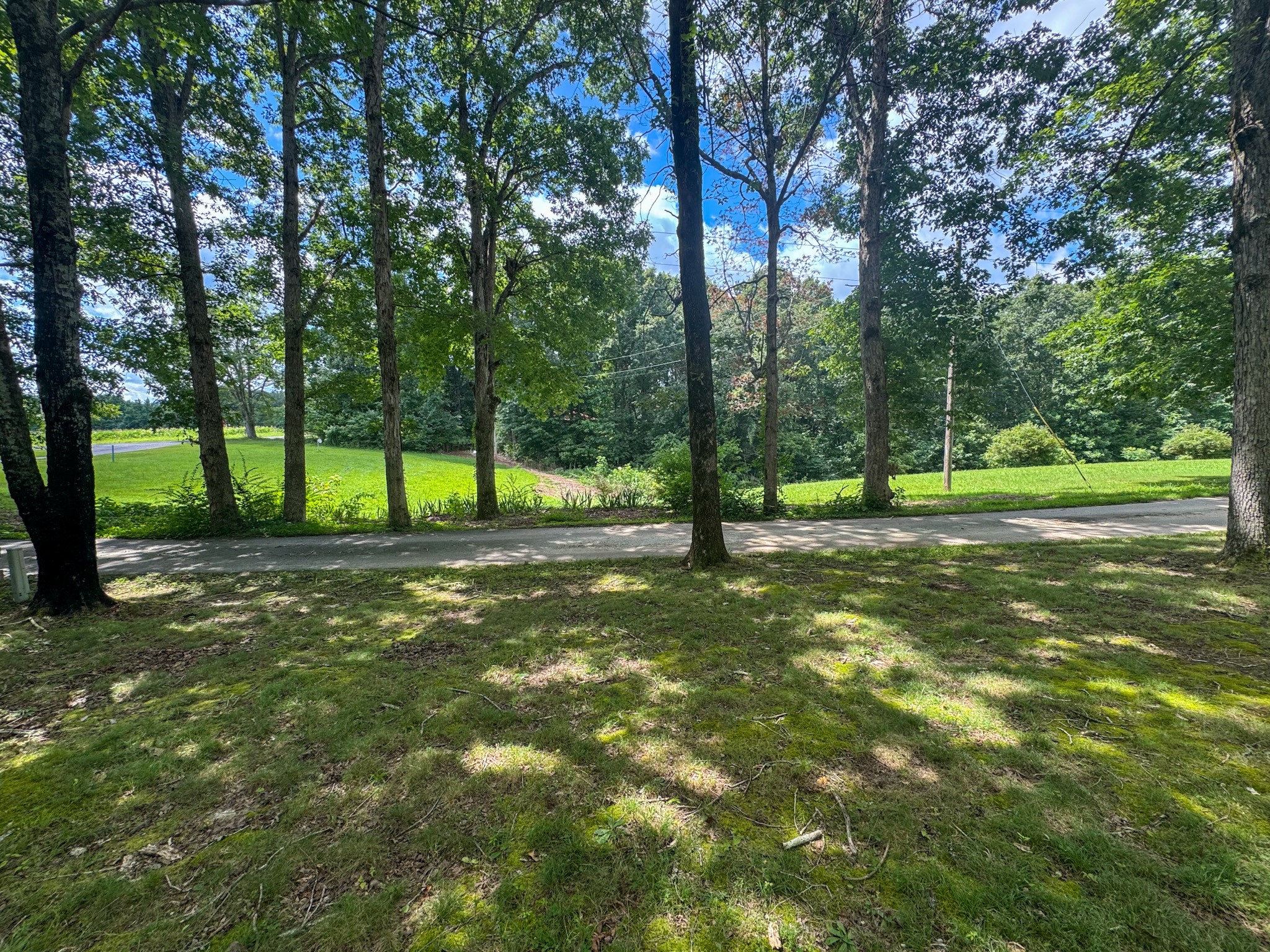 130 McFarlin Road White Bluff, TN 37130 - Photo 30 of 33 a view of yard with tree and green space