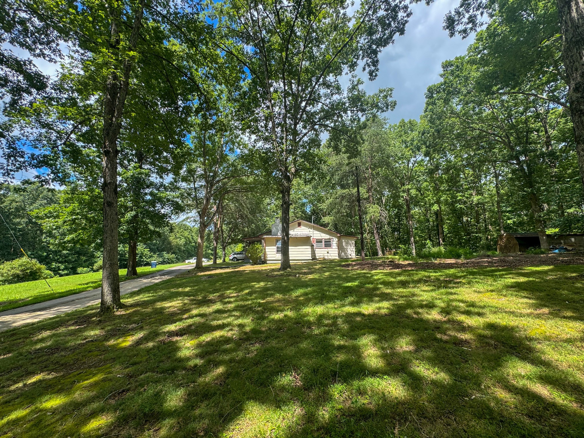 130 McFarlin Road White Bluff, TN 37130 - Photo 31 of 33 a view of a trees in a yard
