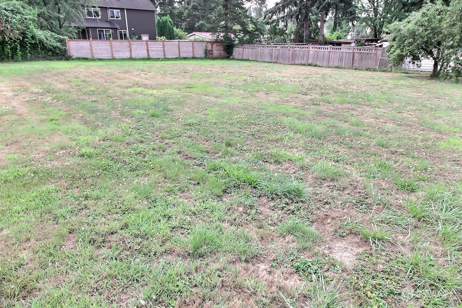 3619 Talbot Road South Renton, WA 98055 - Photo 25 of 27 a view of a yard with a slide