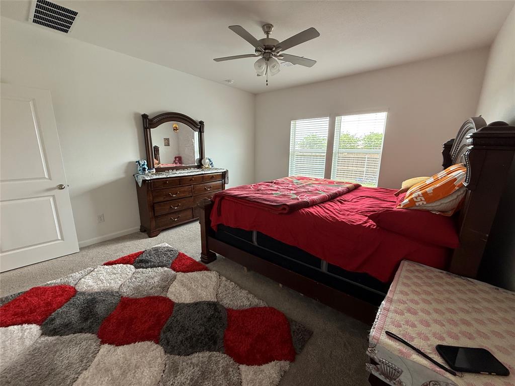 2006 Placerville Street Forney, TX 75126 - Photo 16 of 35 Bedroom featuring two windows with blinds, a ceiling fan with light fixture, carpet flooring, and white walls