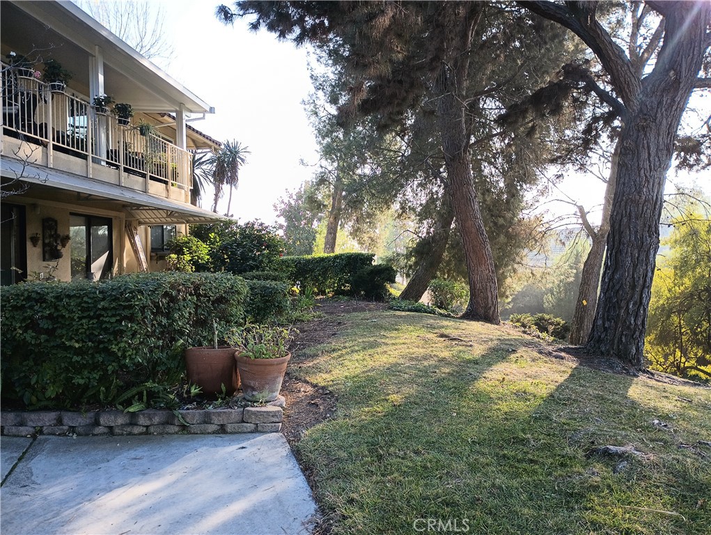 a view of backyard with outdoor seating and trees